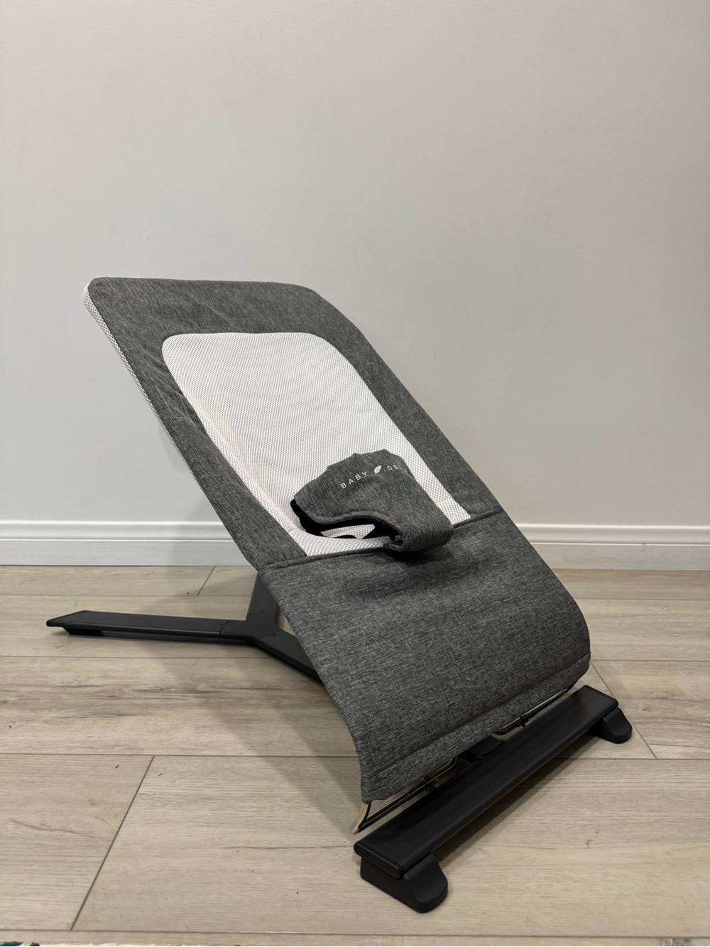 Baby Delight Portable Bouncer with Carry Bag